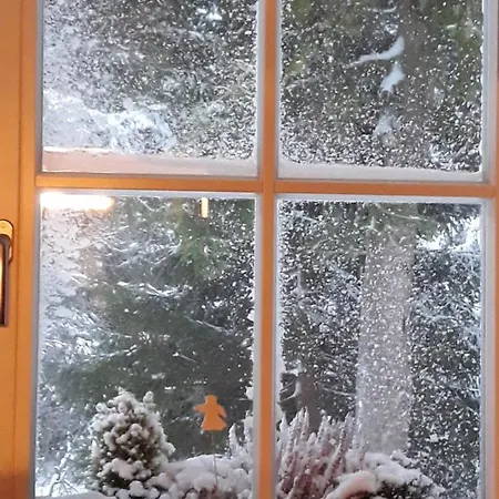 بيت ضيافة Katty